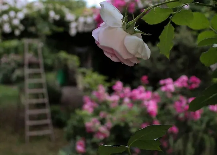La Vigna B&B
